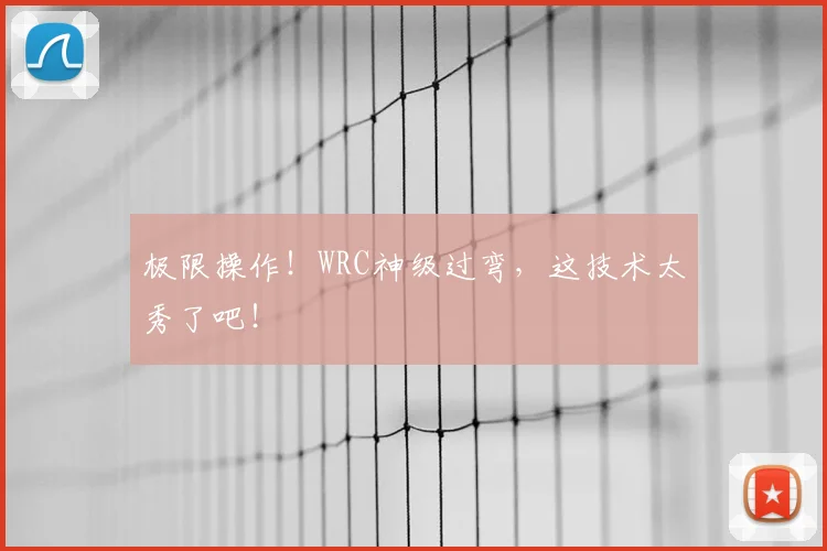 极限操作！WRC神级过弯，这技术太秀了吧！