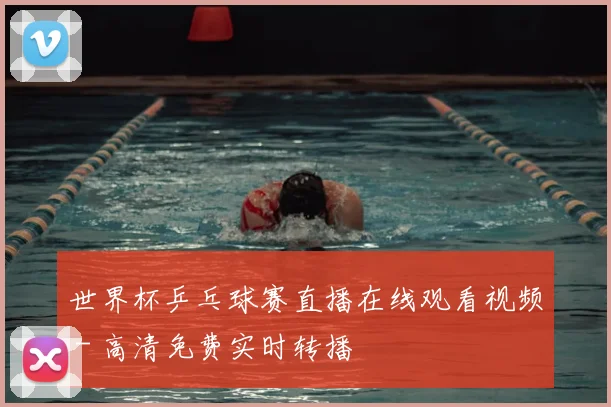 世界杯乒乓球赛直播在线观看视频 - 高清免费实时转播