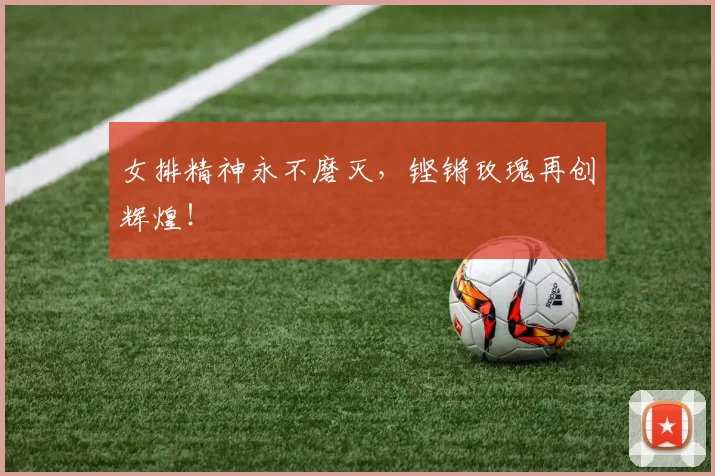 女排精神永不磨灭，铿锵玫瑰再创辉煌！