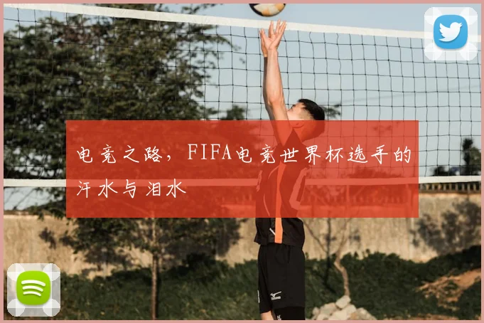 电竞之路，FIFA电竞世界杯选手的汗水与泪水